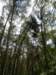 photo10_small.jpg