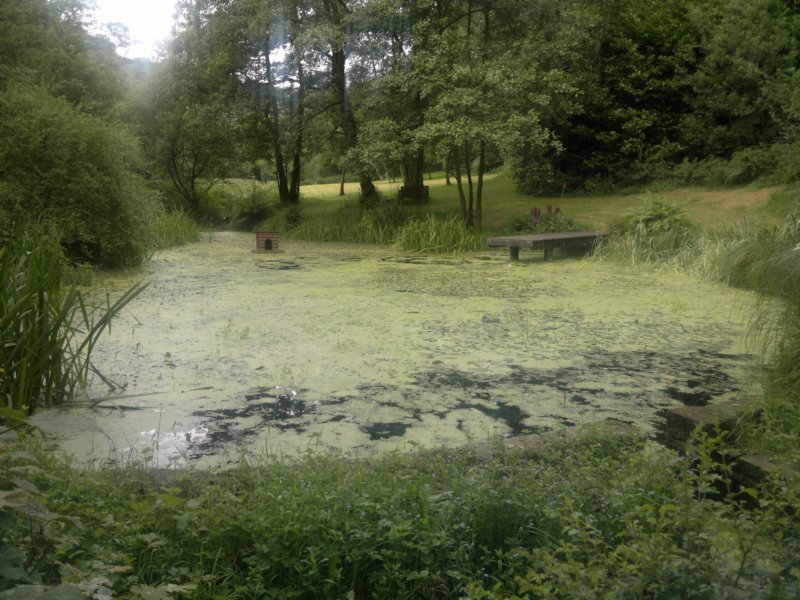 photo11.jpg