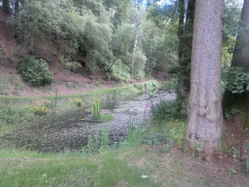 photo12.jpg
