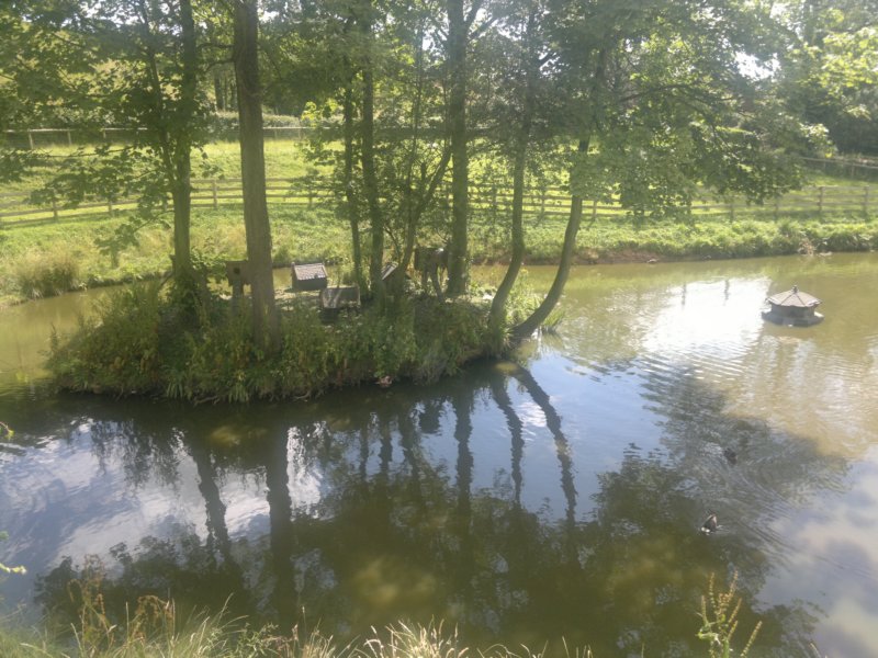 photo19.jpg