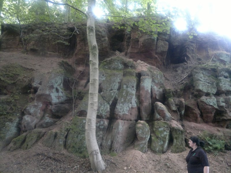 photo24.jpg