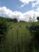 photo4_small.jpg