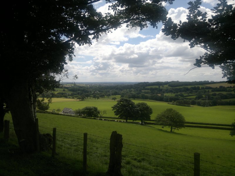 photo5.jpg