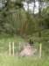 photo7_small.jpg
