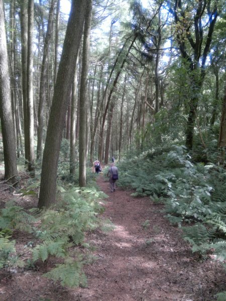photo9.jpg
