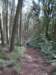 photo9_small.jpg
