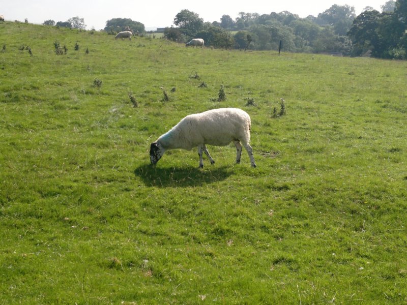 photo3.jpg