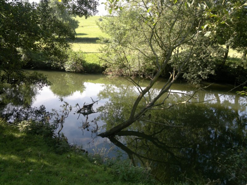 photo6.jpg