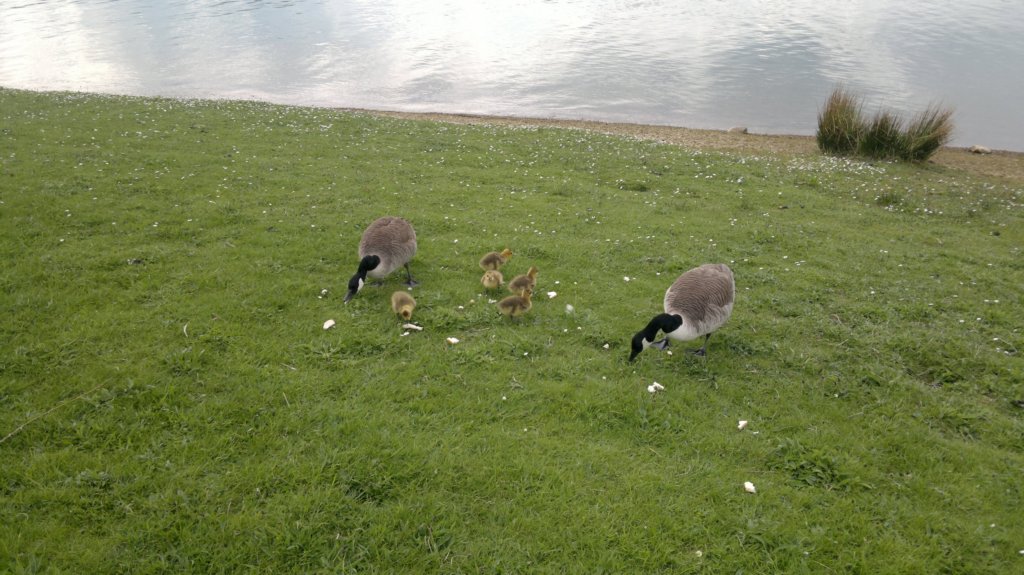 carsingtonwater.jpg