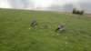 carsingtonwater_small.jpg
