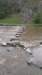 dovedale3_small.jpg