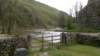 dovedale4_small.jpg