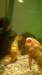matlockbathaquariumhologramandwell2_small.jpg