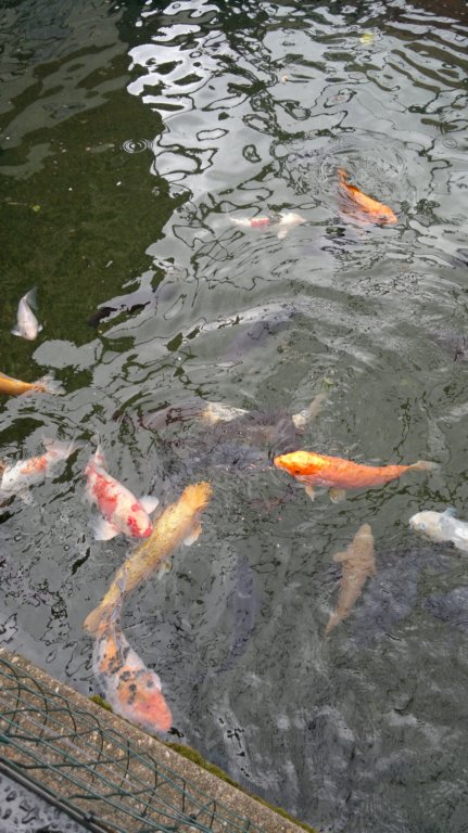 matlockbathaquariumhologramandwell4.jpg