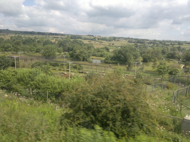photo11.jpg