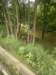 photo16_small.jpg