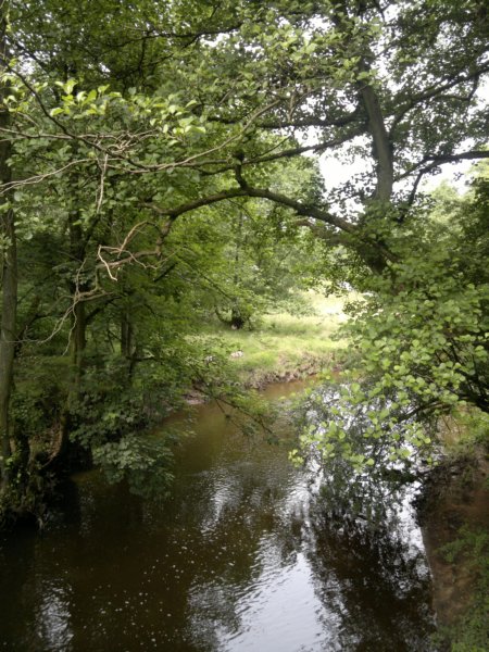 photo18.jpg