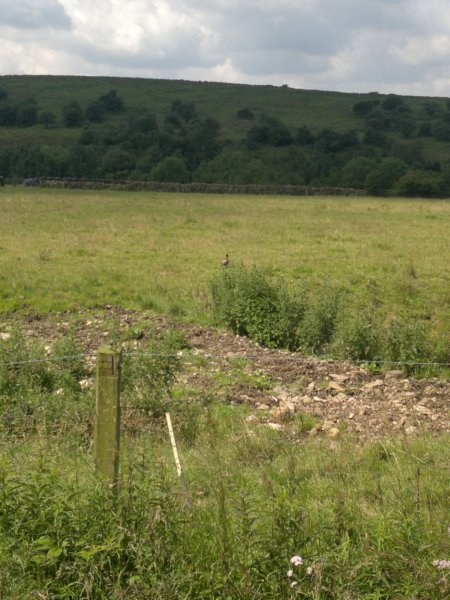 photo7.jpg