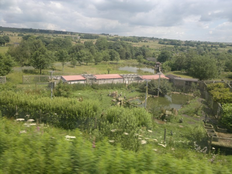photo9.jpg