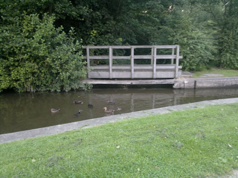 photo10.jpg