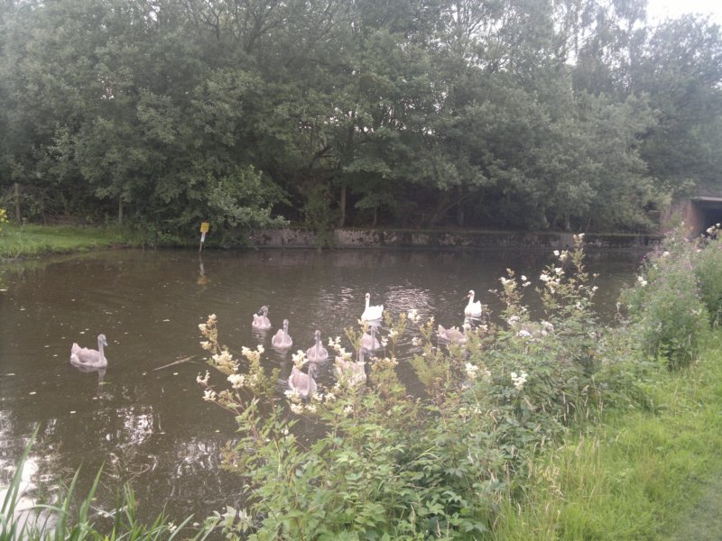 photo13.jpg