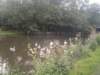 photo13_small.jpg