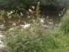 photo15_small.jpg