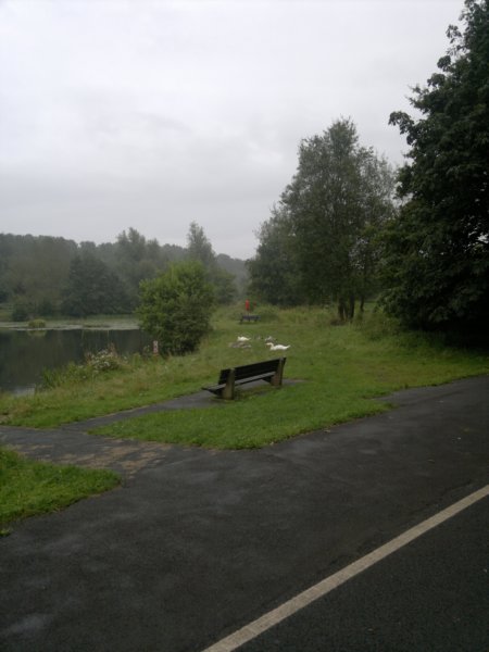 photo17.jpg