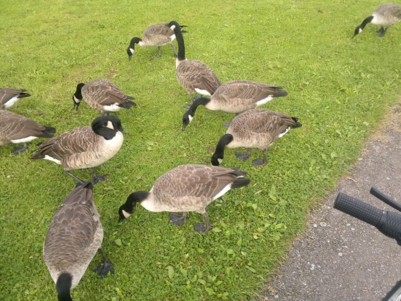 photo5.jpg