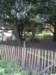 photo25_small.jpg
