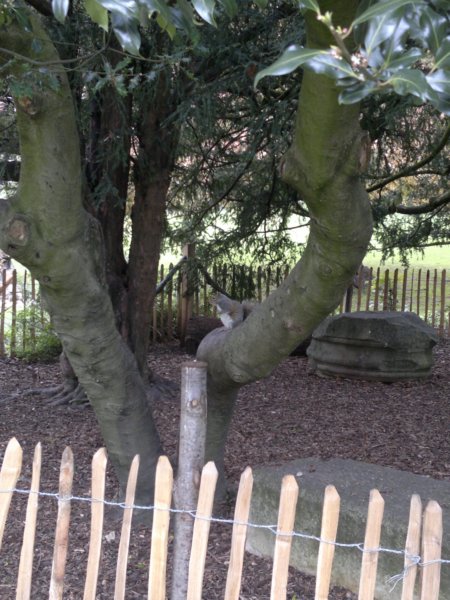 photo26.jpg