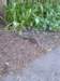 photo27_small.jpg