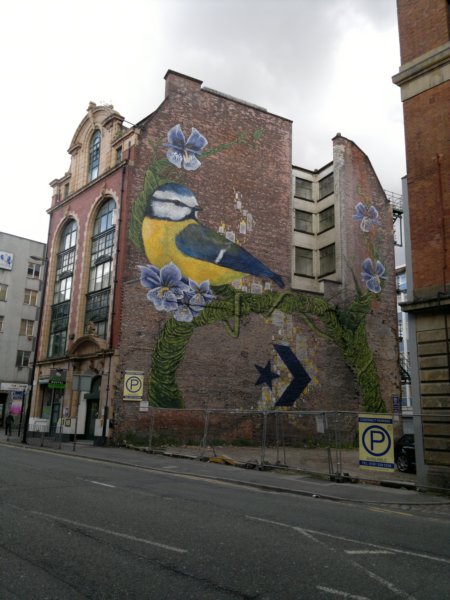 photo49.jpg