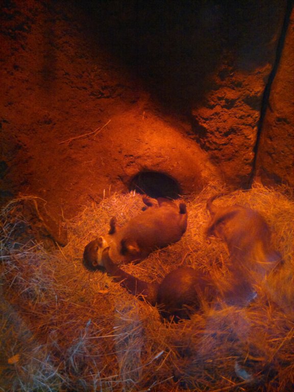 photo12.jpg