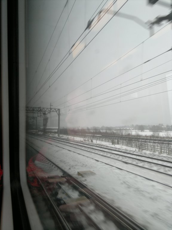 photo2.jpg