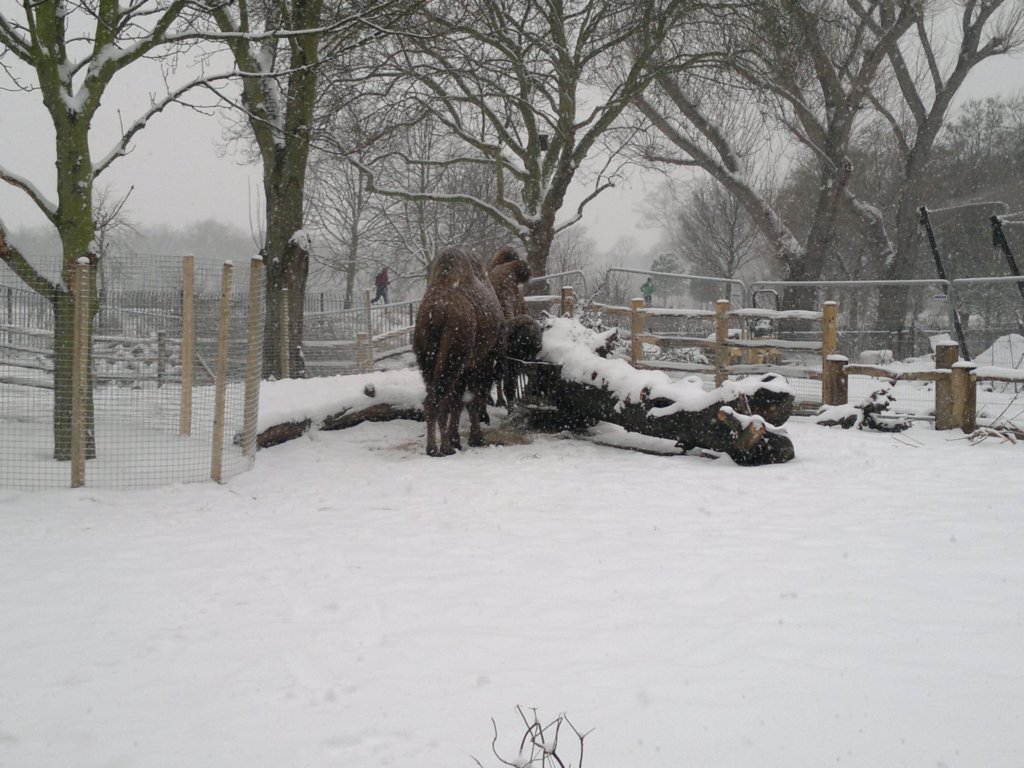 photo20.jpg