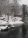 photo23_small.jpg