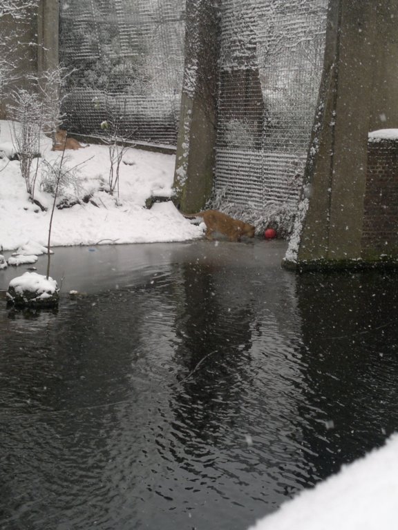 photo24.jpg