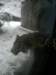 photo26_small.jpg