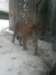 photo27_small.jpg