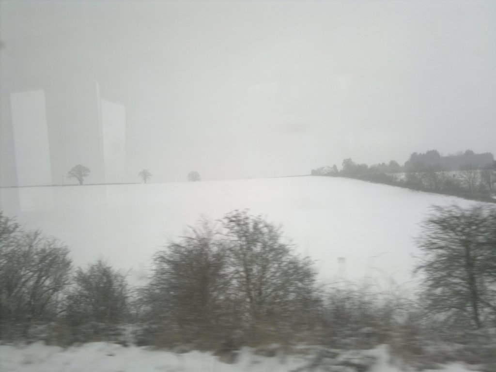 photo3.jpg