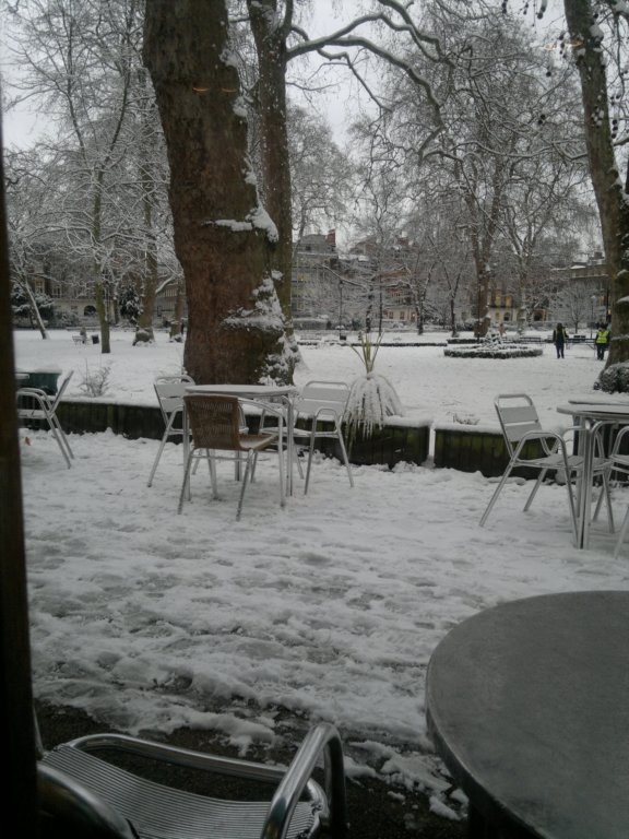 photo42.jpg