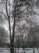 photo43_small.jpg
