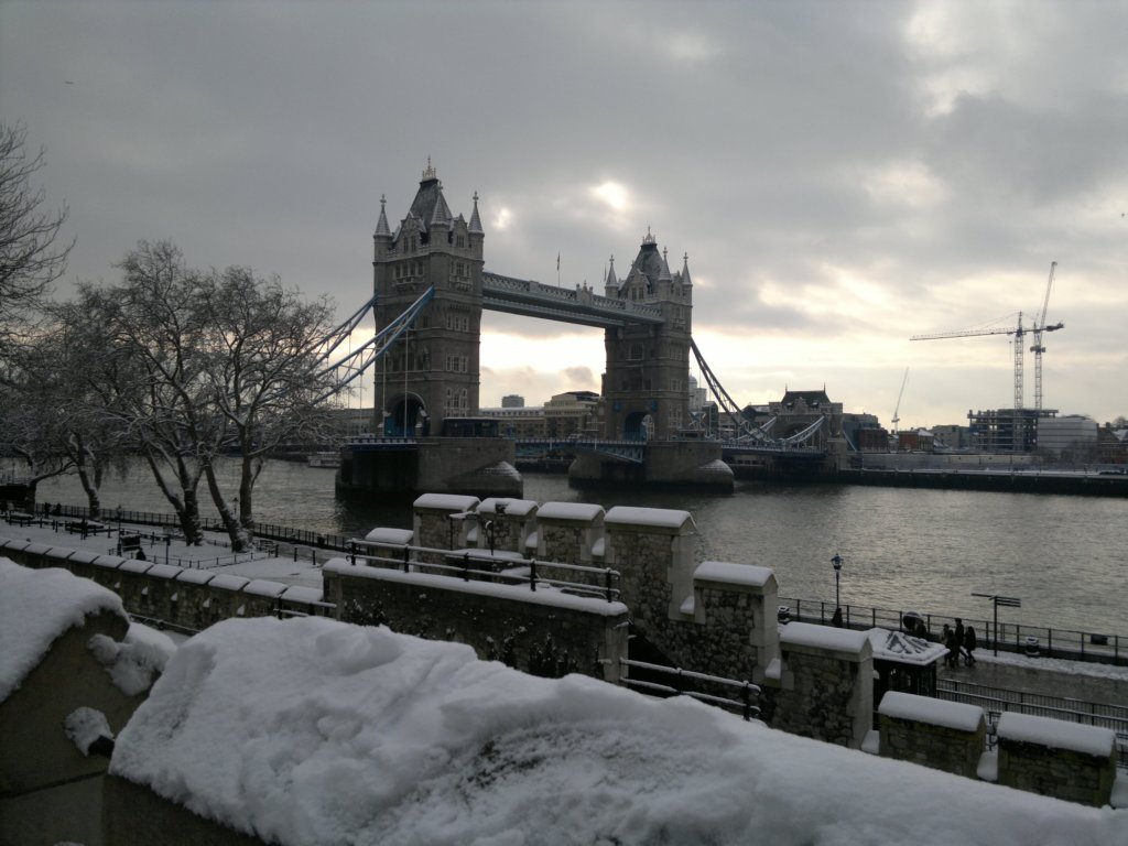 photo49.jpg