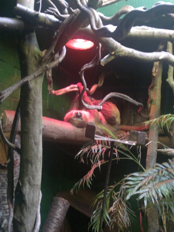 photo9.jpg