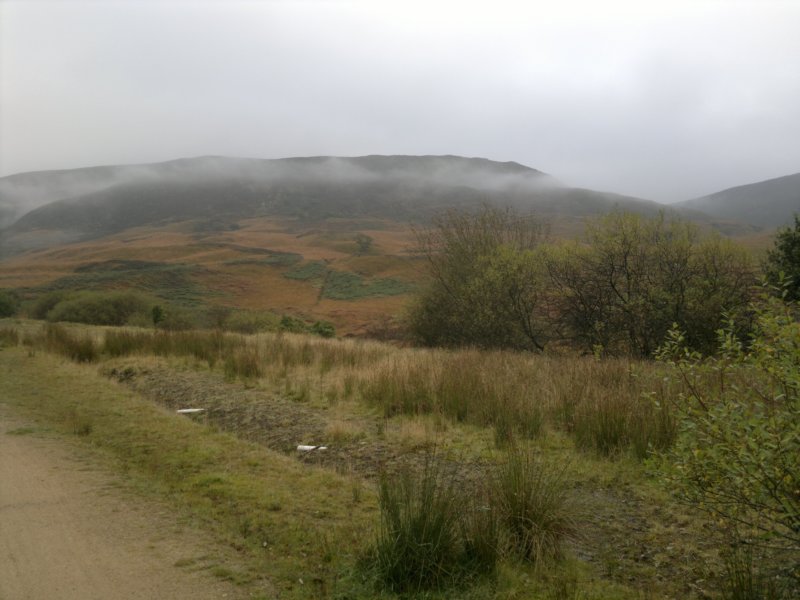 photo14.jpg