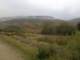 photo14_small.jpg