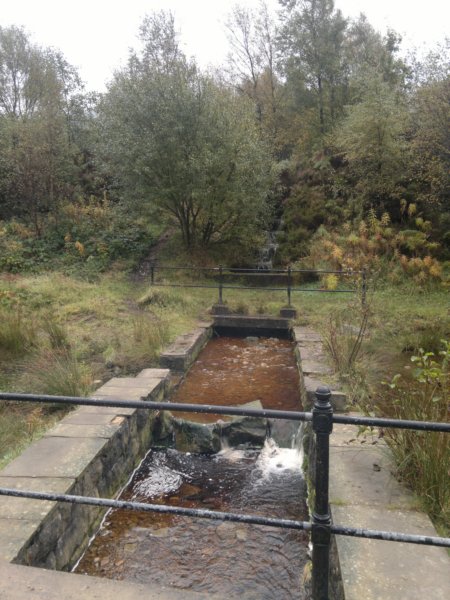 photo16.jpg