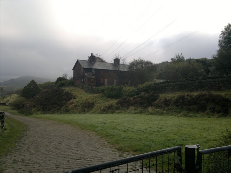 photo19.jpg