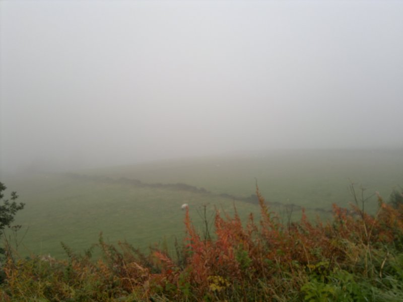 photo2.jpg